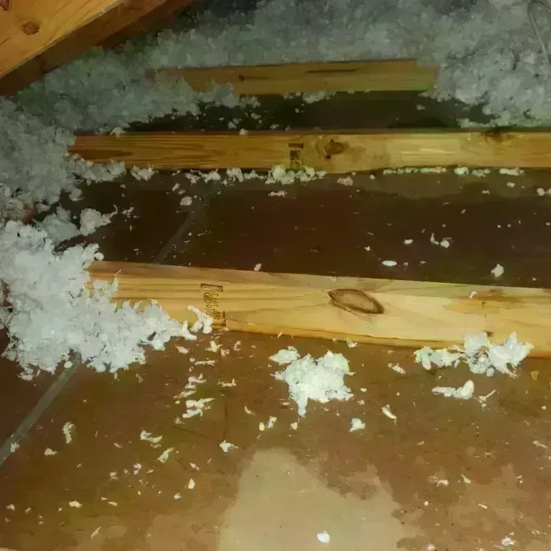 Attic Water Damage in LaVerkin, UT